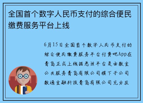 全国首个数字人民币支付的综合便民缴费服务平台上线